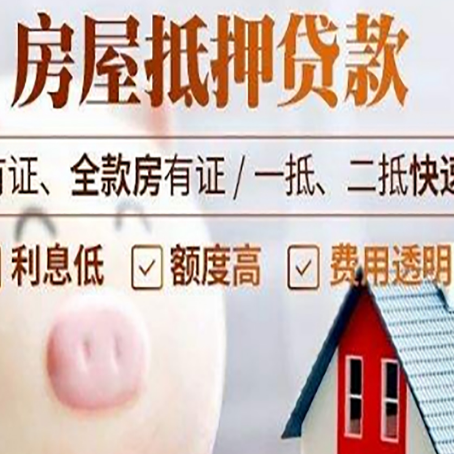 武义贷款助贷公司新渝启服靠谱公司