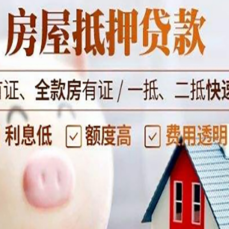武义贷款助贷公司新渝启服成立时间久